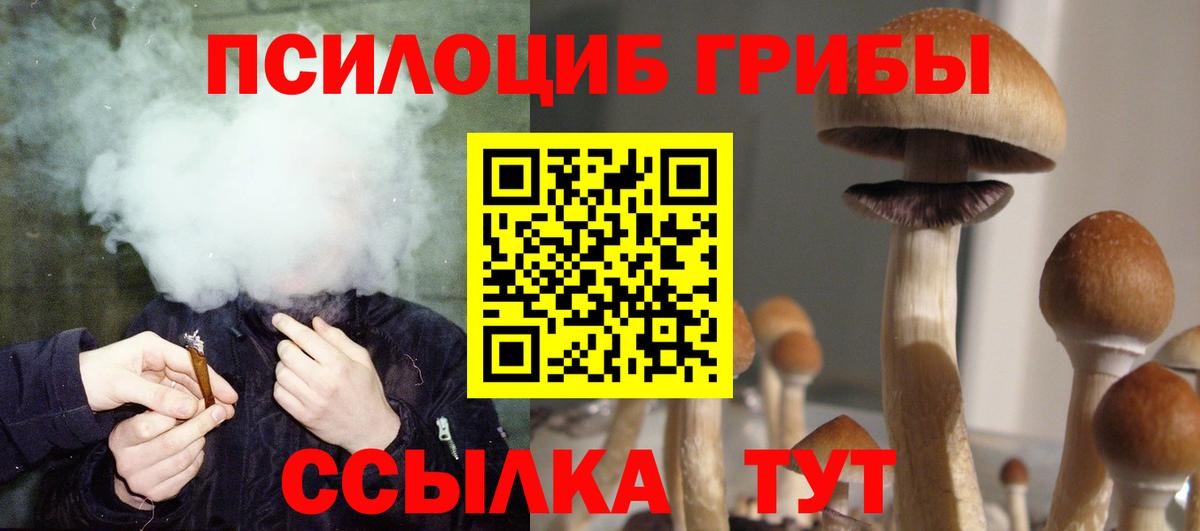 Псилоцибиновые грибы Psilocybe  Вход с VPN  Свободный 
